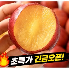 [초고당도] 국내산 대석 꿀 자두 제철 고당도, 1박스, 1kg