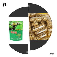 邦邦水族 水草根肥 含鐵質 微量元素 礦物鹽 適用於椒草, 一包40顆, 1個