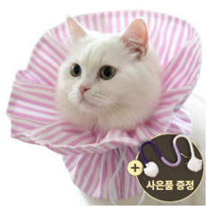 [speedmong] 목편한 초경량 시야 확보 반려동물 편안한 넥카라 고양이 강아지 깔대기 중성화, 베이비핑크, 1세트