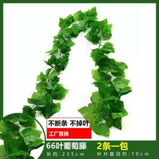 仿真葡萄葉藤蔓爬山虎藤條，常青藤綠蘿植物假綠葉吊頂裝飾，綠植牆壁裝飾, 特密66葉立體葡萄藤（2條裝）, 1個