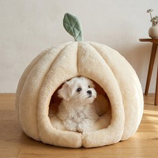 푸키 몽글 펌킨 쿠션 하우스 강아지 고양이 숨숨집, 1개, 살구