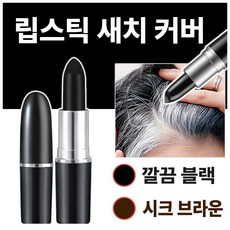[라핀다] 포켓쏙 새치 커버 스틱, 1개, 깔끔블랙