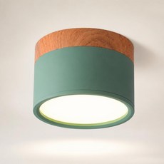 원목 원형 LED 직부등 다운라이트 현관 복도 조명, G. 초록색