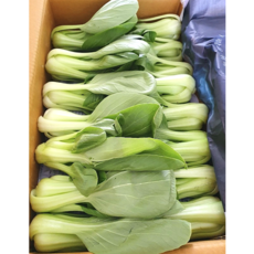 당일선별 싱싱 아삭아삭 국내산 청경채 마라탕 샤브샤브용, 1개, 4kg