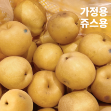 [초특가할인] 못난이배 국내산 배 못난이 쥬스용 김장용, 1개, 5kg