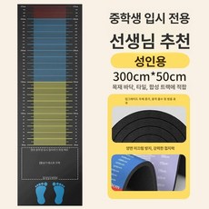 루미브릿지 제자리멀리뛰기매트 체육 멀리, 1개, 블랙그레이 300x50cm