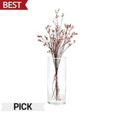 유리 화병 수반 SH8x25 원형 유리 화분 인테리어 화병 픽앤코401