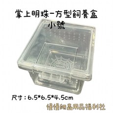 掌上明珠 曬台（中號）, 方形-小號, 1個