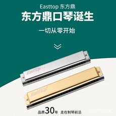 輕量競技T2403複音口琴24孔28孔重音口琴C調成人專業演奏口琴T2801 P1O1, 【尊貴金色】28孔進階級+全套贈品,C調複音口琴, 1個