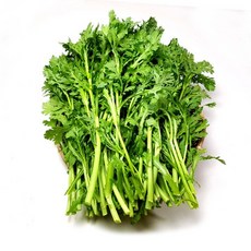 싱싱한 쑥갓4kg 웰빙체소, 4kg, 1개