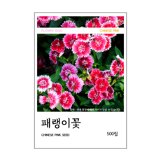 패랭이꽃 씨앗 500립, 1개