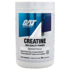 GAT SPORT 肌酸高質量粉末, 300g, 1罐