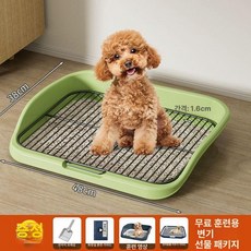 프리미엄 위생적 반영구적 사용 업소용 찜판 채반 스테인리스 찜망, 1개, 하이 펜스 민트 16mm