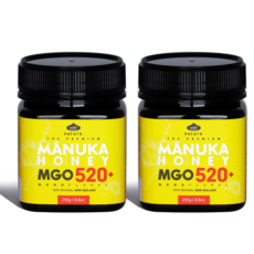 와일드네이처 아침에 좋은 마누카꿀 MGO520+ UMF15+ 동일수치, 2개, 250g