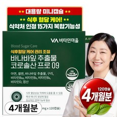 비타민마을 식후 혈당관리 바나바잎 추출물 코로솔산 프로 09, 120정, 1개