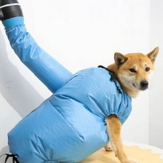 반려견 목욕 후 건조용품 애견 전신 드라이백 속건 타월 커버 소형견 중형견 실내용, 1개, 소