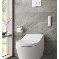 泉發牌婦女洗屁屁陶瓷把手一體成型，女性呵護，衛生舒適，易於清潔