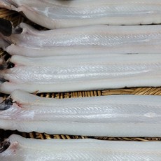 산지 제철 통영 세척 홍가리비 조개 새우구이 손질바다장어 외, 1박스, 반건조장어(대)3미,장어소스1개