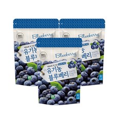 [호재준] 냉동 유기농블루베리(미국), 1.3kg, 3개