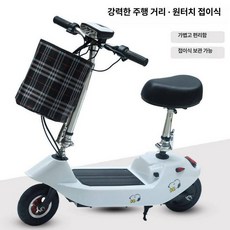 더패스터 전동킥보드 접이식 전동 두발 앉아서타는, 1개, 화이트, 24V 12A 헤어라인 차오웨이 티안넝
