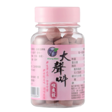 SHENGWEN 喉爽錠 仙楂錠 洛神仙楂 潤喉珠 台灣製造, 30g, 6個