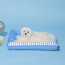[모던하우스 인천점] 펫본 3도씨 커버분리형 슈퍼쿨 사각 베게방석 BLUE -[PT0826015], 1개, 블루