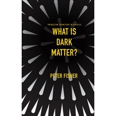 (영문도서)What Is Dark Matter? Paperback, Princeton University Press, English, 9780691284002
