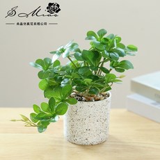 熱銷 仿真花盆栽 仿真綠植盆栽 辦公室盆栽 人造綠植葉子小盆景 創意家居擺件 仿真花裝飾品 仿真盆栽 綠色植物盆栽, 832396 深綠色吊鐘壁掛盆景, 1個