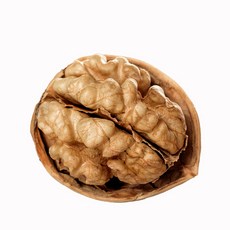 더옹달샘 얇은 껍질 국산 햇호두 500g 특품 피호두(상), 1개