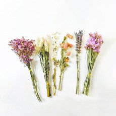 COZY-CAT 懶懶喵 童話莊園 造景花束 乾燥花 倉鼠籠裝飾 零添加 免修剪, 1個, 70g