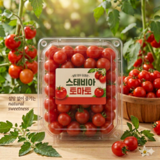 [농협정품] 고당도 스테비아 대추방울토마토 특품, 1박스, 스테비아방울토마토2kg