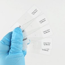 양파 뿌리 팁 세포 유사 분열 현미경 슬라이드 세트 5개 팩으로 식물 유전학 생물학 수업을 위한 단계 보여줘