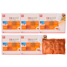 엠디프라임 웰빙팩 황토허리 냉온찜질팩, 5개