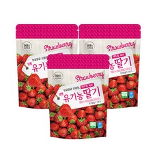 (소비기한 26.05.30) [호재준] 냉동 유기농딸기, 3개, 500g