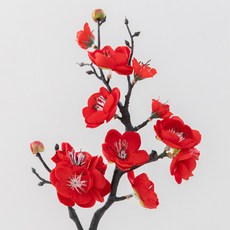 봄조화 매화, 1개, 36레드