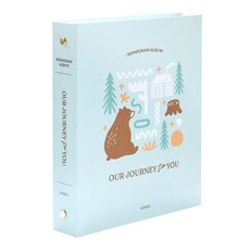 처음부모 초음파사진 포켓 앨범, 민트