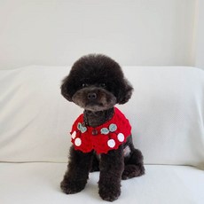 블 앵두 손뜨개 케이프, 1개, 레드