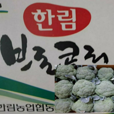 국내산 제주도 브로콜리 최상품 1kg 2kg 4kg박스포함 알뜰농장, 1개