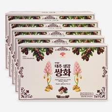 동화약품 부채표 대추 생강 쌍화, 50개, 120ml