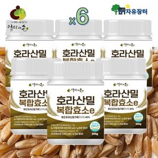호라산밀 복합 효소 곡물 발효 효소식품 분말 가루, 6개, 300g