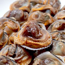 국내산 당일채취 벌교 새꼬막, 1개, 3kg(180-210내외)