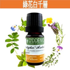 《歐丹尼》綠花白千層純精油，10ml-50ml，優質單方精油, 1個, 綠花白千層10ml