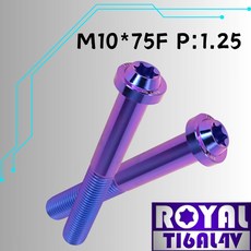 【瘋螺絲】ROYAL 鈦合金螺絲 M10*75F P:1.25 飛碟頭型螺絲 64鈦/鈦合金螺絲 幻彩藍, 1個