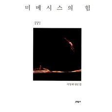 MUNHAKDONGNE 模仿的力量：徐永採評論集, 徐永采