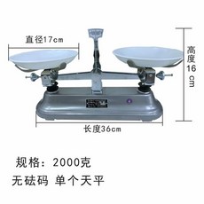 교육용 양팔저울 밸런스 실험실 기계식 토크 무게 저울, 1개, I. 무게추 없이 kg