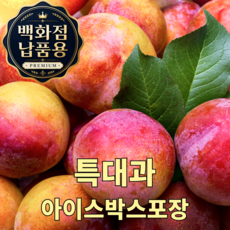 [백화점납품용] 당도선별 프리미엄 후무사자두 특대과, 1박스, 3kg