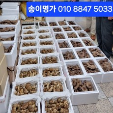 냉동 송이버섯 국내산 중품 200g(2인분), 1세트, 200g