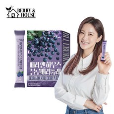 김지민픽 베리앤하우스 블루베리 퓨레 미국산 홈쇼핑, 14개, 20g