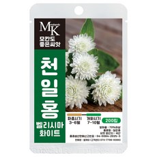 모칸도 좋은씨앗 천일홍 씨앗 200립 벨리시마 화이트 국산 꽃씨 꽃씨앗, 1개