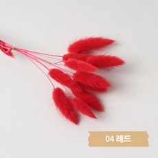 화연양화 프리저브드플라워 선별 라그라스 강아지풀 10개입, 04 레드